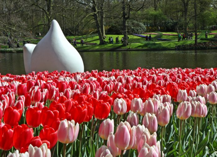 Keukenhof, un caleidoscopio di colori nel cuore dell’Olanda