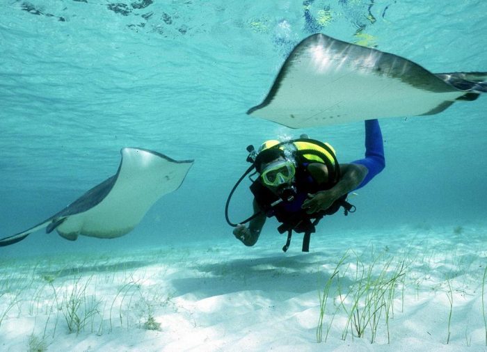 Alla ricerca delle più belle spiagge del mondo