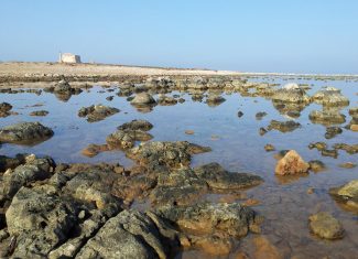 La costa orientale della Sicilia: una terra per tutti i gusti