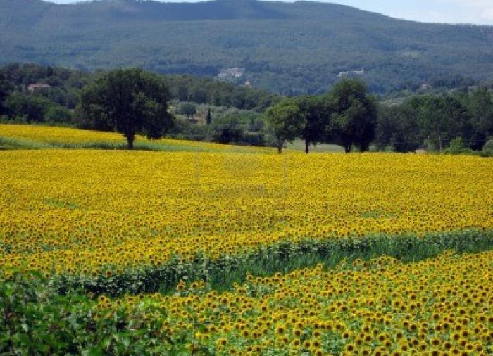 A maggio si va in vacanza con mamma