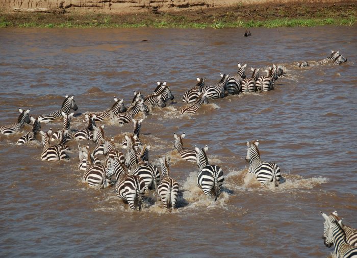 Tra Kenya e Tanzania, per uno spettacolo senza paragoni