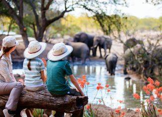 La tua avventura più epica con un safari in Africa