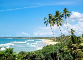 Mauritius: Un Paradiso Tropicale da Scoprire