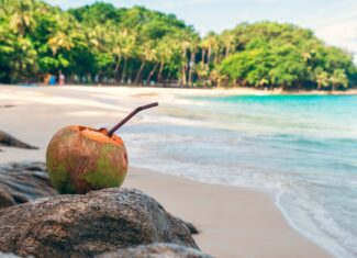 Riviera Maya e Cancun: Il Cuore Tropicale del Messico tra Paradisi Naturali e Tesori Maya