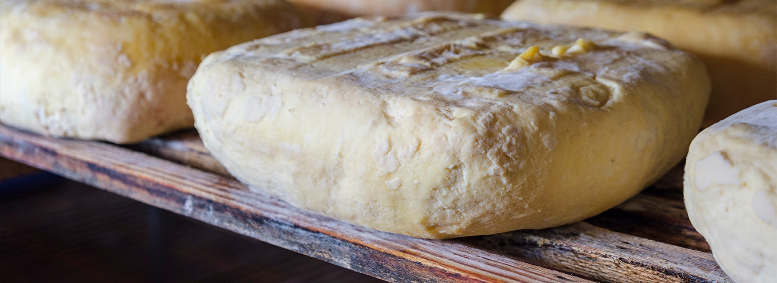 Formaggio Mahón