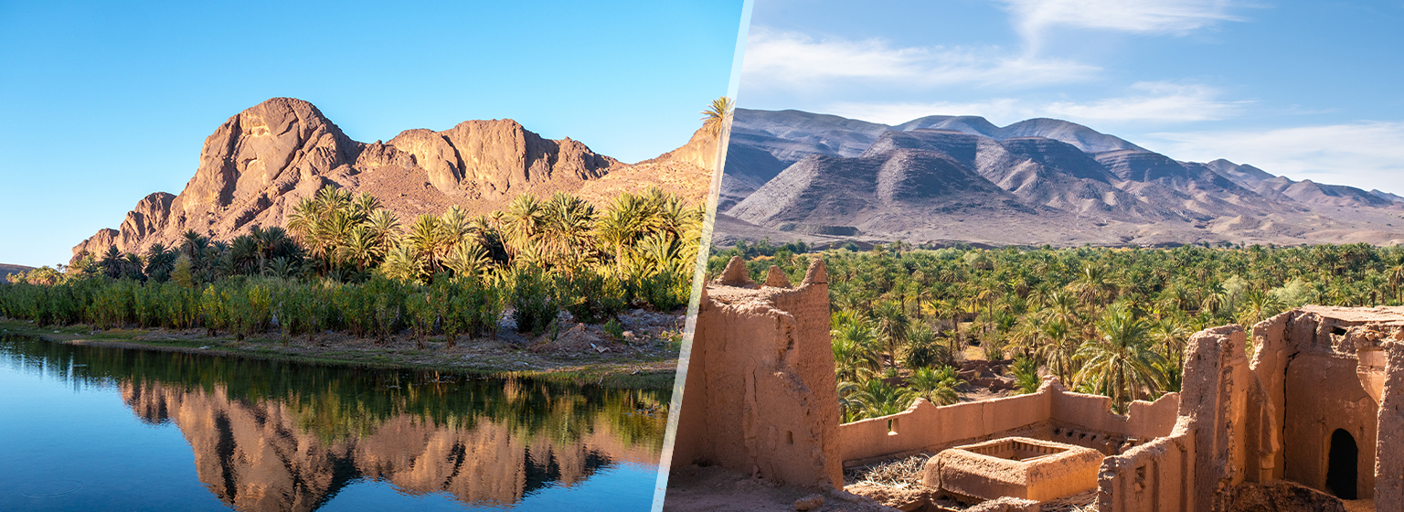 Oasi di Fint / Valle del Draa