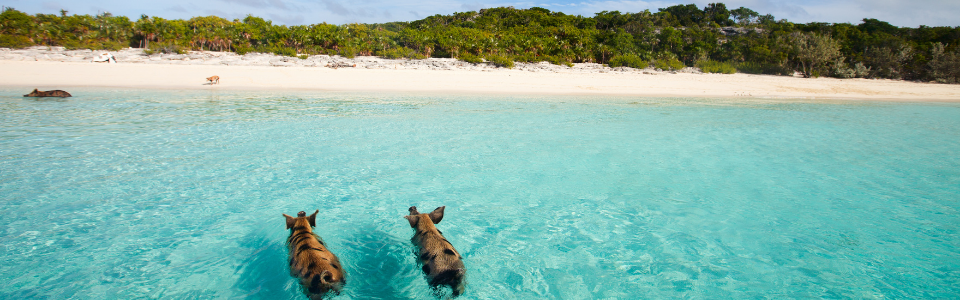 Cruceros por el Caribe Bahamas
