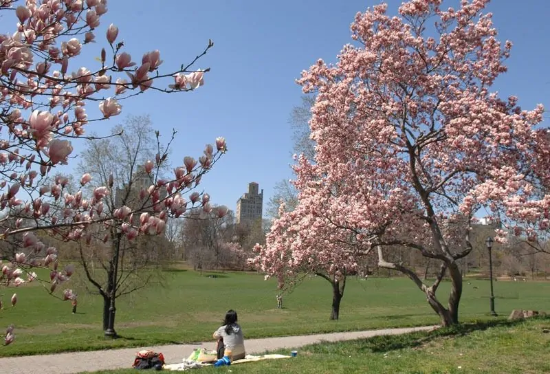 Prospect Park
