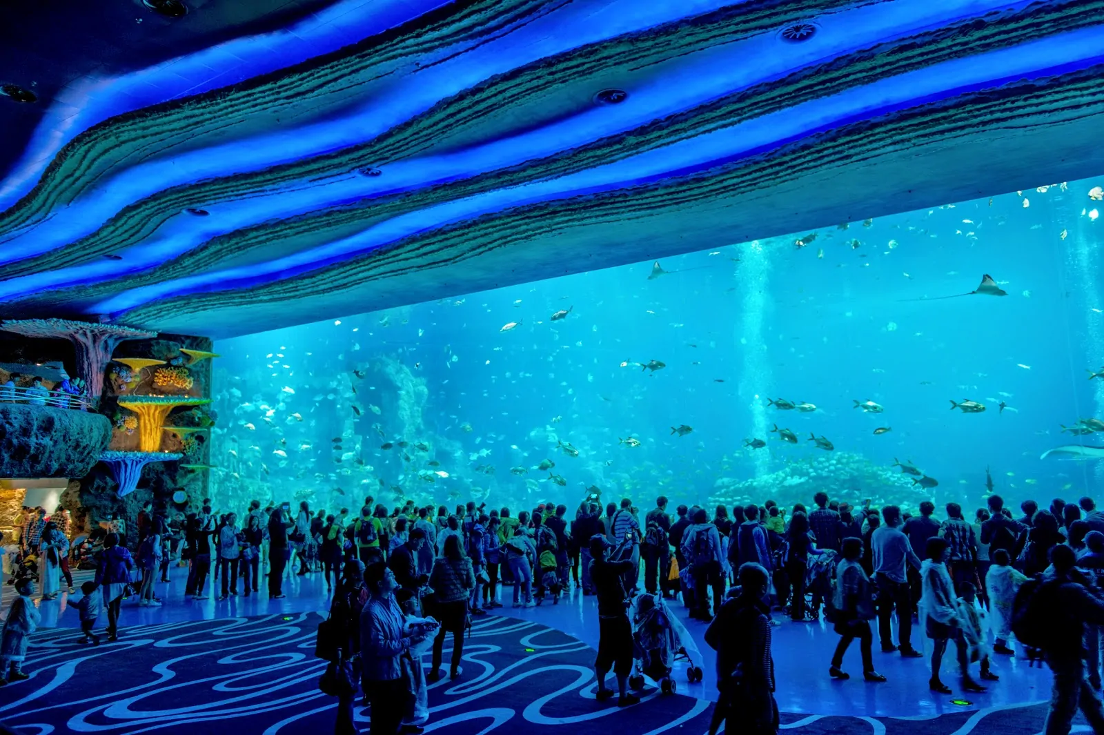 Chimelong Ocean Kingdom
