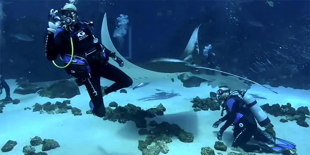 Georgia Aquarium