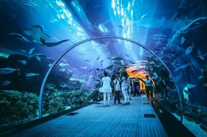 Dubai Mall Aquarium