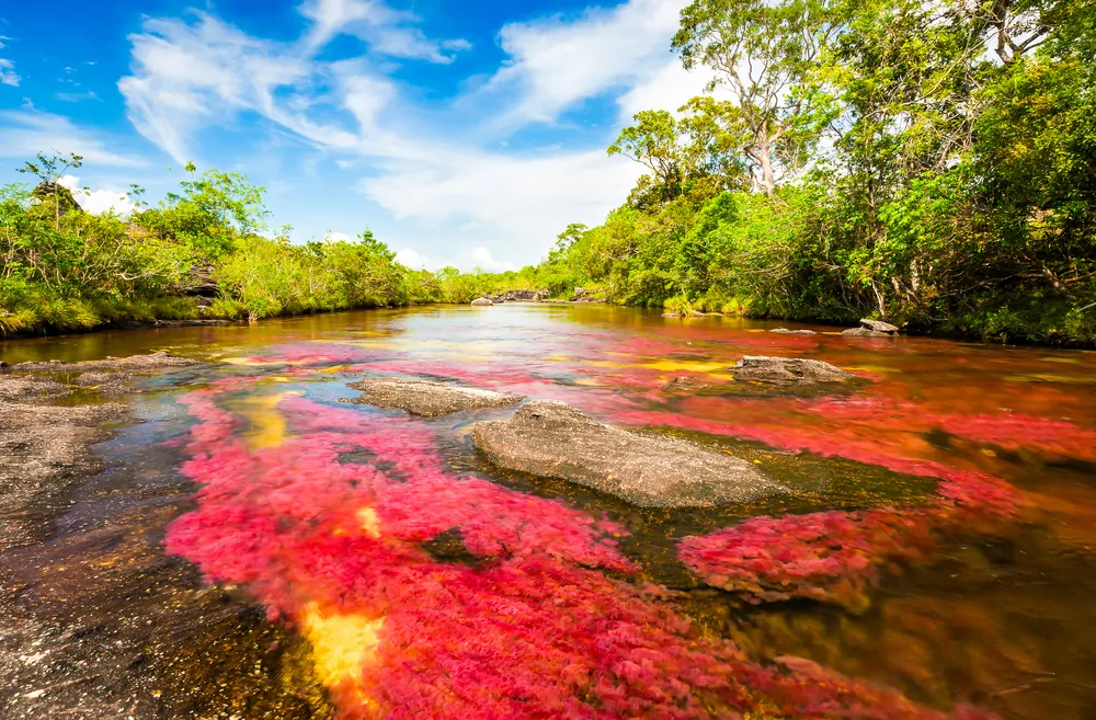 Fiume Caño Cristales