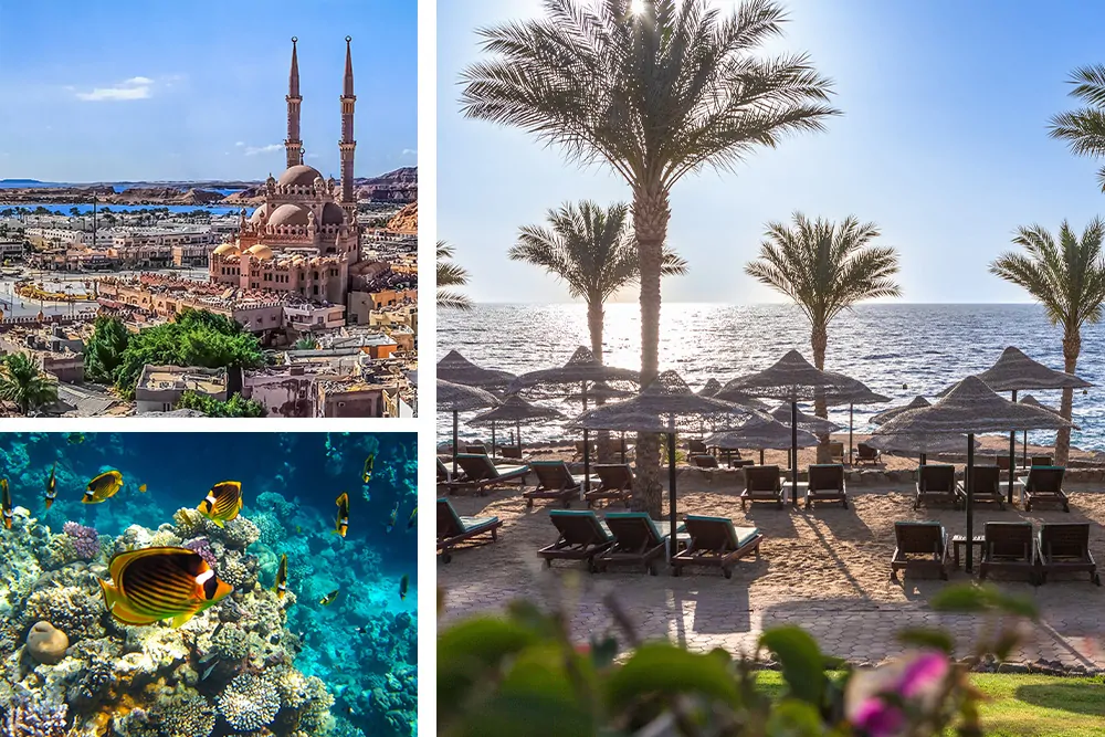 vacanza in africa sharm el sheikh