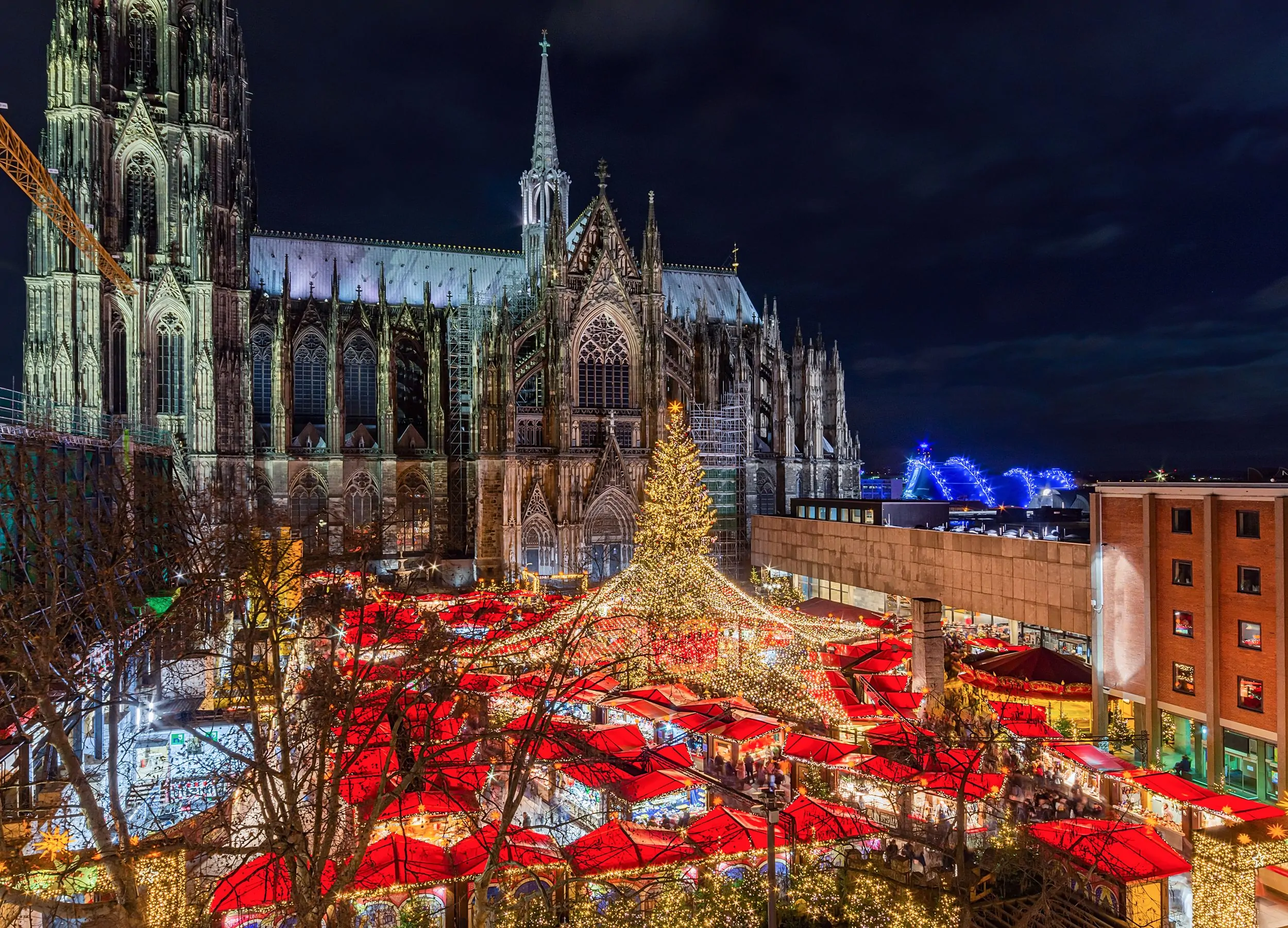 cologne (1)